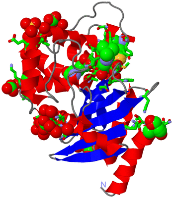 Image Asym./Biol. Unit - sites