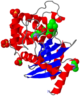 Image Asym./Biol. Unit