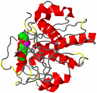 Image Asymmetric Unit