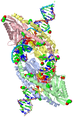 Image Biological Unit 1