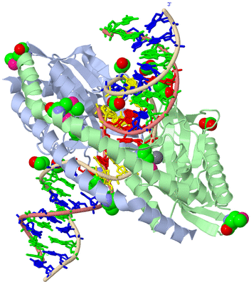 Image Biological Unit 2