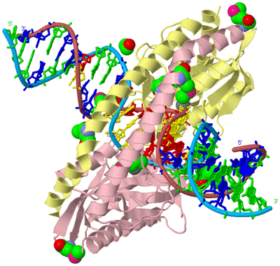 Image Biological Unit 3