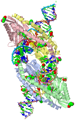 Image Asym. Unit - sites