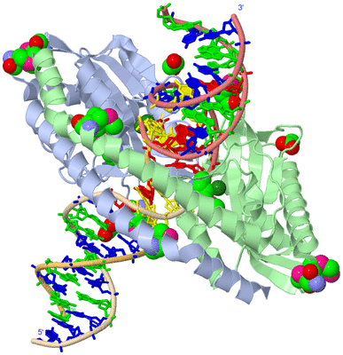 Image Biological Unit 1