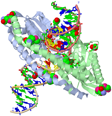 Image Biol. Unit 1 - sites