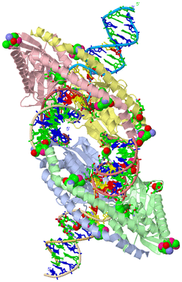 Image Asym. Unit - sites