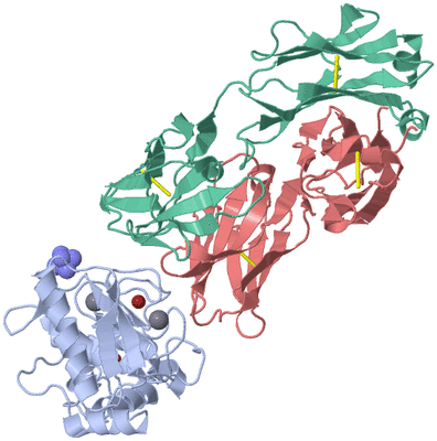 Image Biological Unit 1