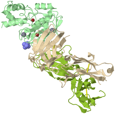 Image Biological Unit 2