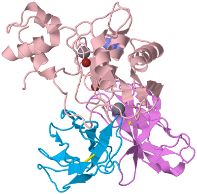 Image Biological Unit 3