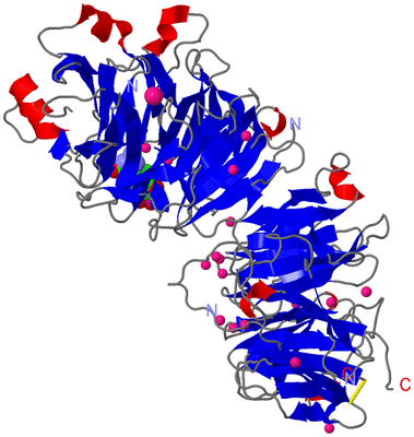 Image Asym./Biol. Unit