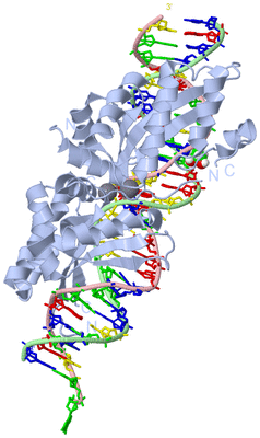 Image Biological Unit 1