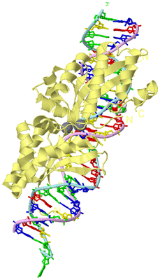 Image Biological Unit 2