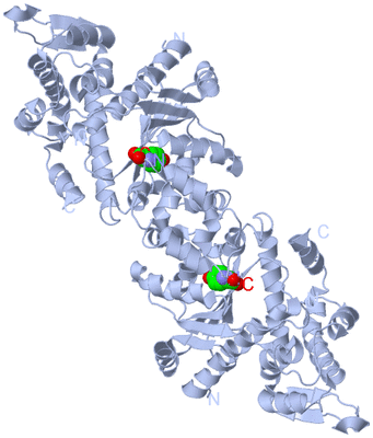 Image Biological Unit 1