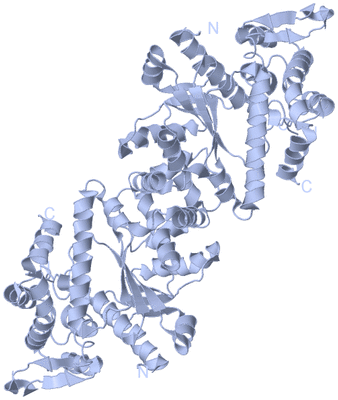 Image Biological Unit 1