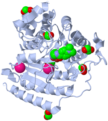 Image Biological Unit 1