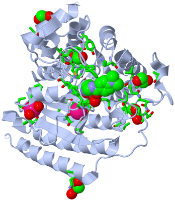 Image Biol. Unit 1 - sites