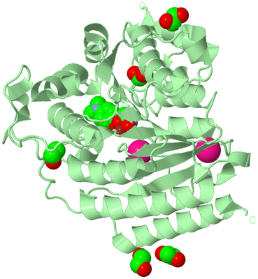 Image Biological Unit 2