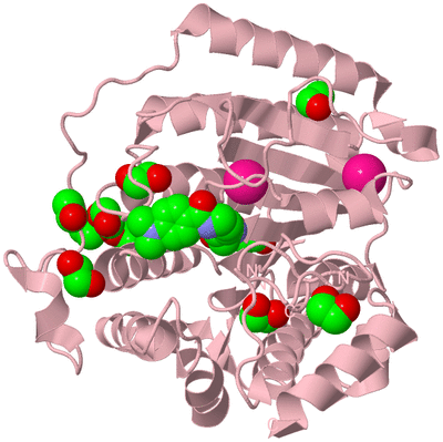 Image Biological Unit 3