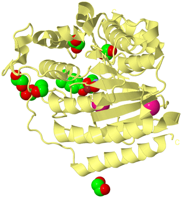 Image Biological Unit 4