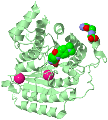 Image Biological Unit 2