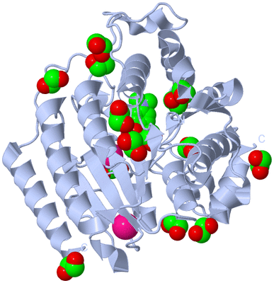 Image Biological Unit 1