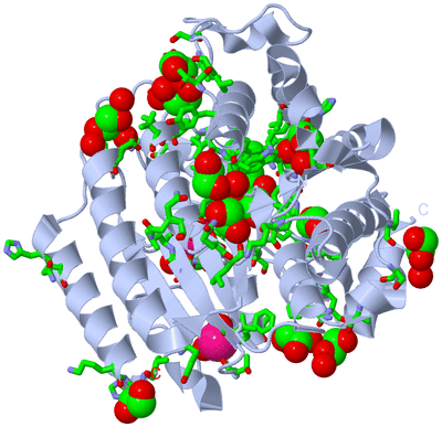 Image Biol. Unit 1 - sites