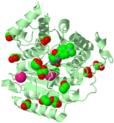 Image Biological Unit 2