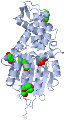 Image Biological Unit 1