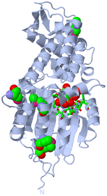 Image Biol. Unit 1 - sites