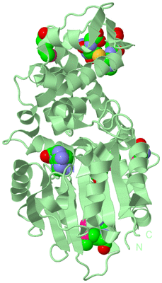 Image Biological Unit 2