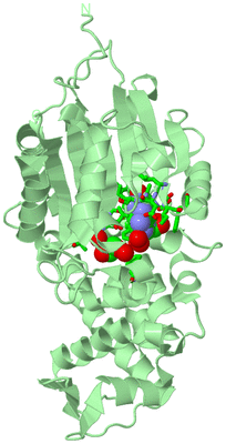 Image Biol. Unit 1 - sites