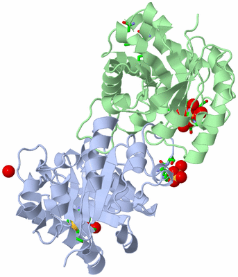 Image Asym./Biol. Unit - sites