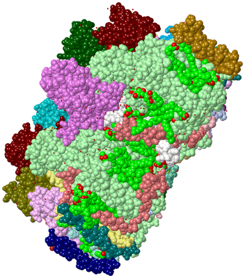 Image Biological Unit 1