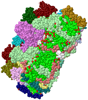 Image Biol. Unit 1 - sites