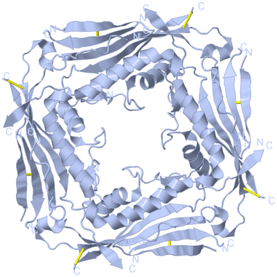 Image Biological Unit 1