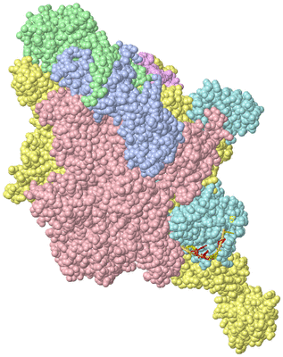 Image Asym./Biol. Unit