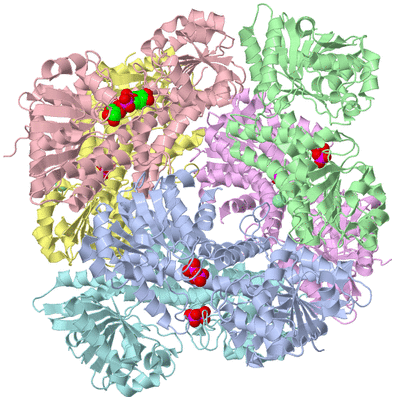 Image Asym./Biol. Unit