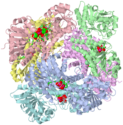 Image Asym./Biol. Unit - sites