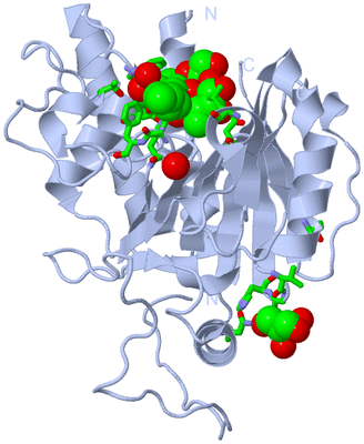 Image Biol. Unit 1 - sites