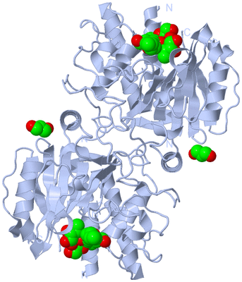 Image Biological Unit 2