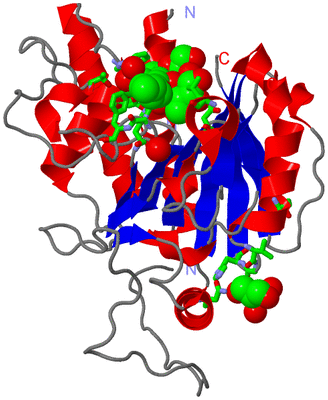 Image Asym. Unit - sites