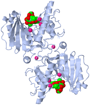 Image Biological Unit 2