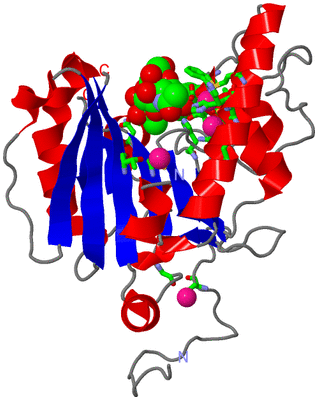 Image Asym. Unit - sites