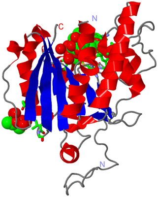 Image Asym. Unit - sites