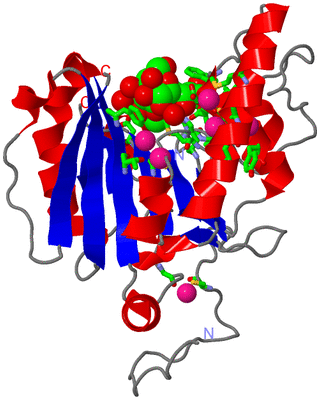 Image Asym. Unit - sites