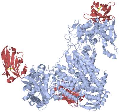 Image Biological Unit 1