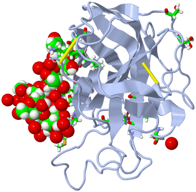 Image Biol. Unit 1 - sites