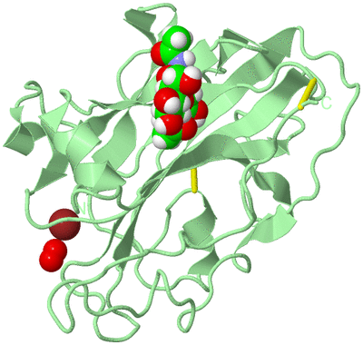 Image Biological Unit 2