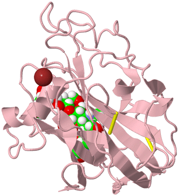 Image Biological Unit 3