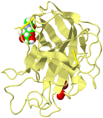 Image Biological Unit 4